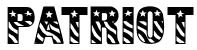Patriot (Patriota)
