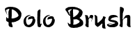 Polo Brush