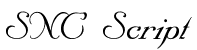 Sncscript